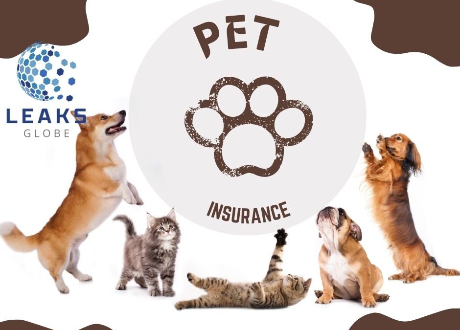Pet Insurance in the USA